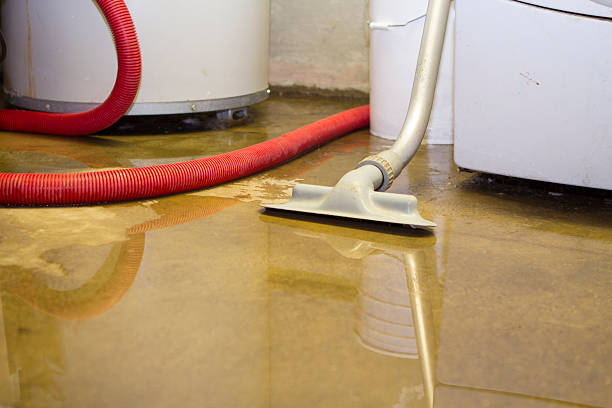 Reliable Sacramento, CA Water damage restoration Solutions